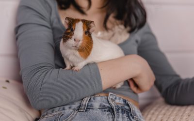 5 Best Pets for Apartment Living